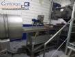 Linha para fabrica��o de batata palha e chips MCI